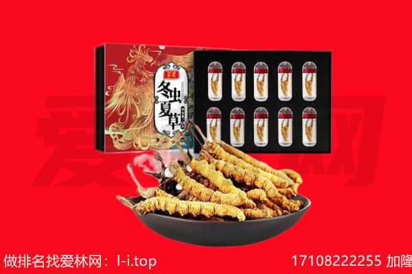 朝阳市龙城回收虫草.jpg
